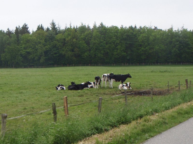 Bad Schwartau 188